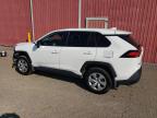 2025 TOYOTA RAV4 LE   for sale at Copart ON - LONDON