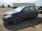 2004 TOYOTA COROLLA CE   for sale at Copart AB - CALGARY