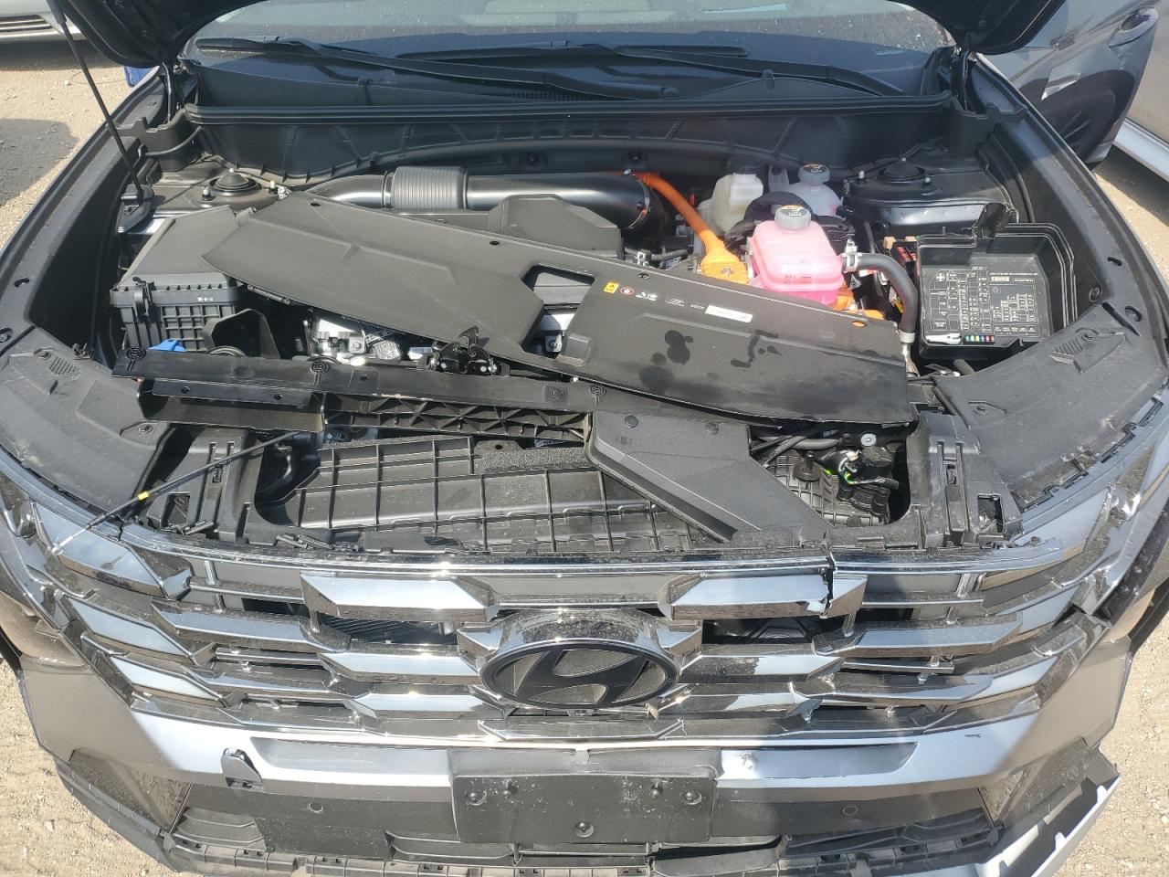 2025 Hyundai Tucson Limited VIN: KM8JEDD15SU340056 Lot: 67381035