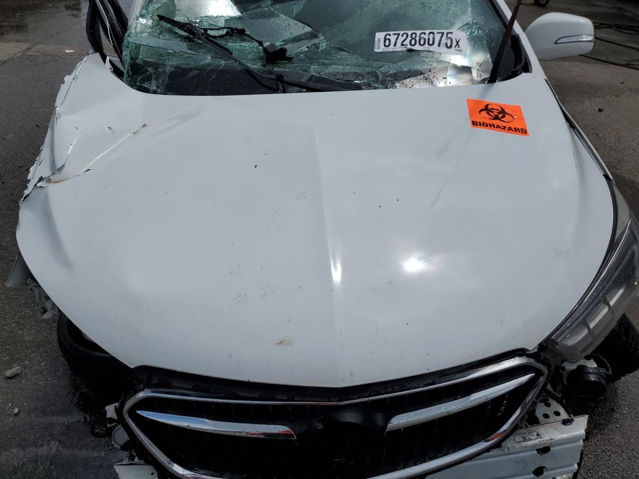 2019 Buick Encore Essence VIN: KL4CJCSM9KB842901 Lot: 67286075