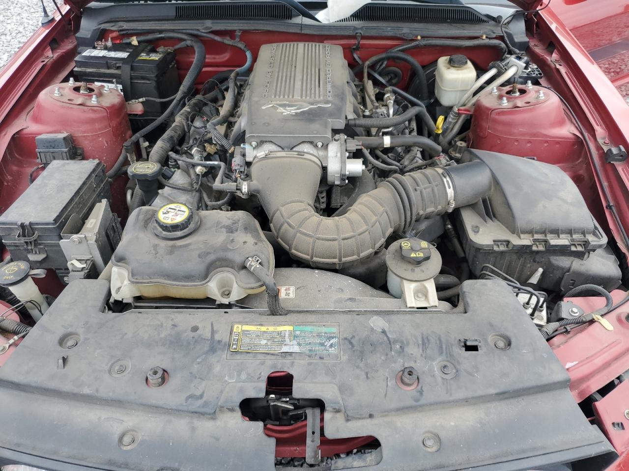 2008 Ford Mustang Gt VIN: 1ZVHT85H985112637 Lot: 69442395