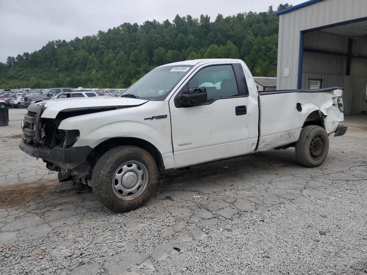 2013 Ford F150 white pickup gas 1FTNF1CTXDKF43415 photo #1