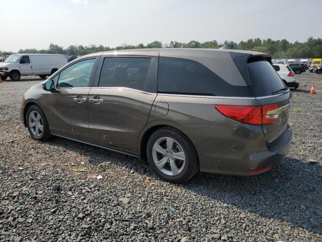  HONDA All Models 2020 Коричневый