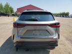 2025 LEXUS NX 350 PREMIUM   for sale at Copart ON - LONDON