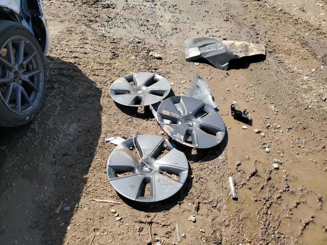 2021 Tesla Model 3 VIN: 5YJ3E1EA5MF045951 Lot: 69593805