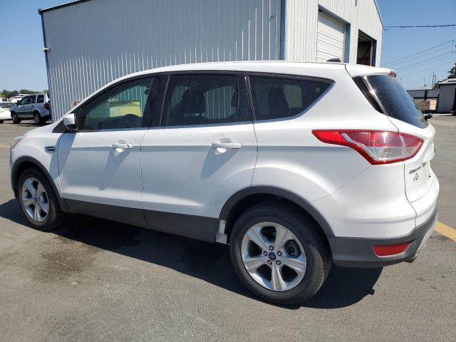  FORD ESCAPE 2016 Белы