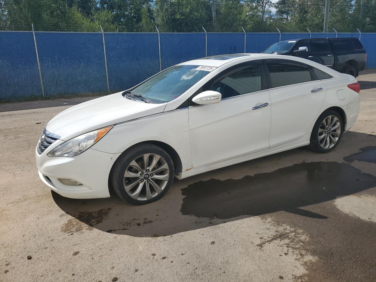 2013 Hyundai Sonata Se VIN: 5NPEC4AB3DH566280 Lot: 70997725