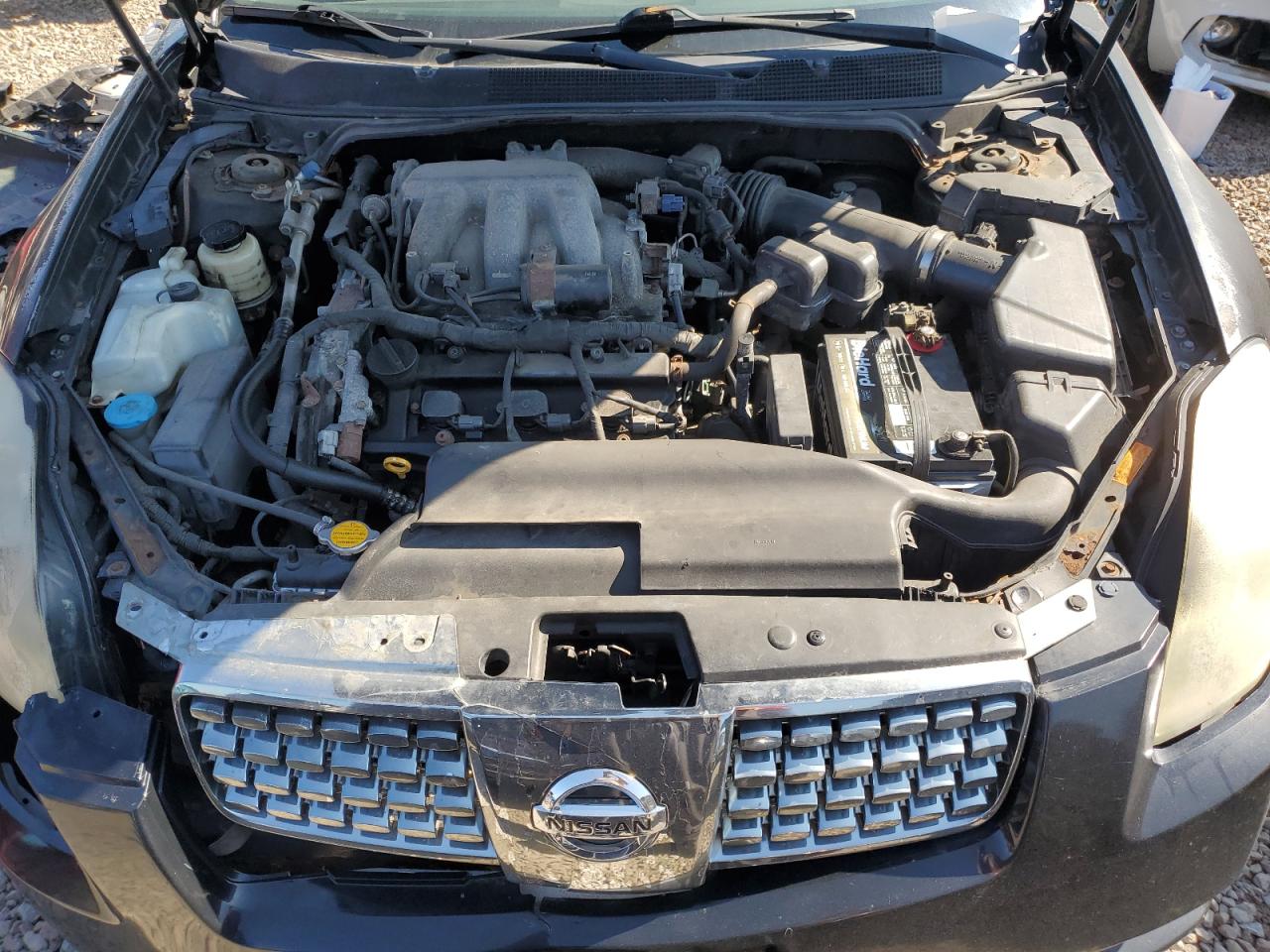 2004 Nissan Maxima Se VIN: 1N4BA41E84C871309 Lot: 63453925