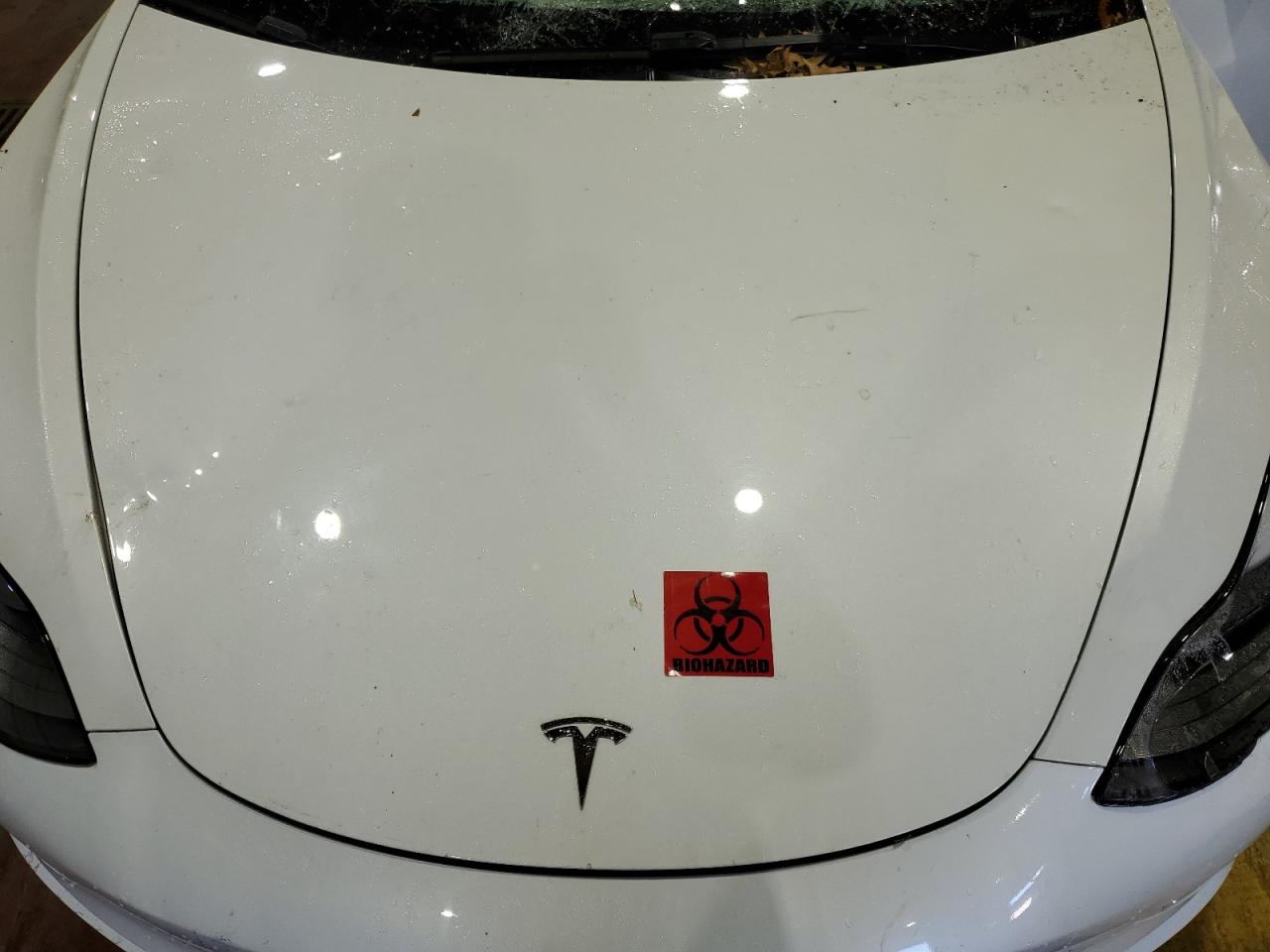 2023 Tesla Model 3 VIN: 5YJ3E1EA0PF608215 Lot: 69821055