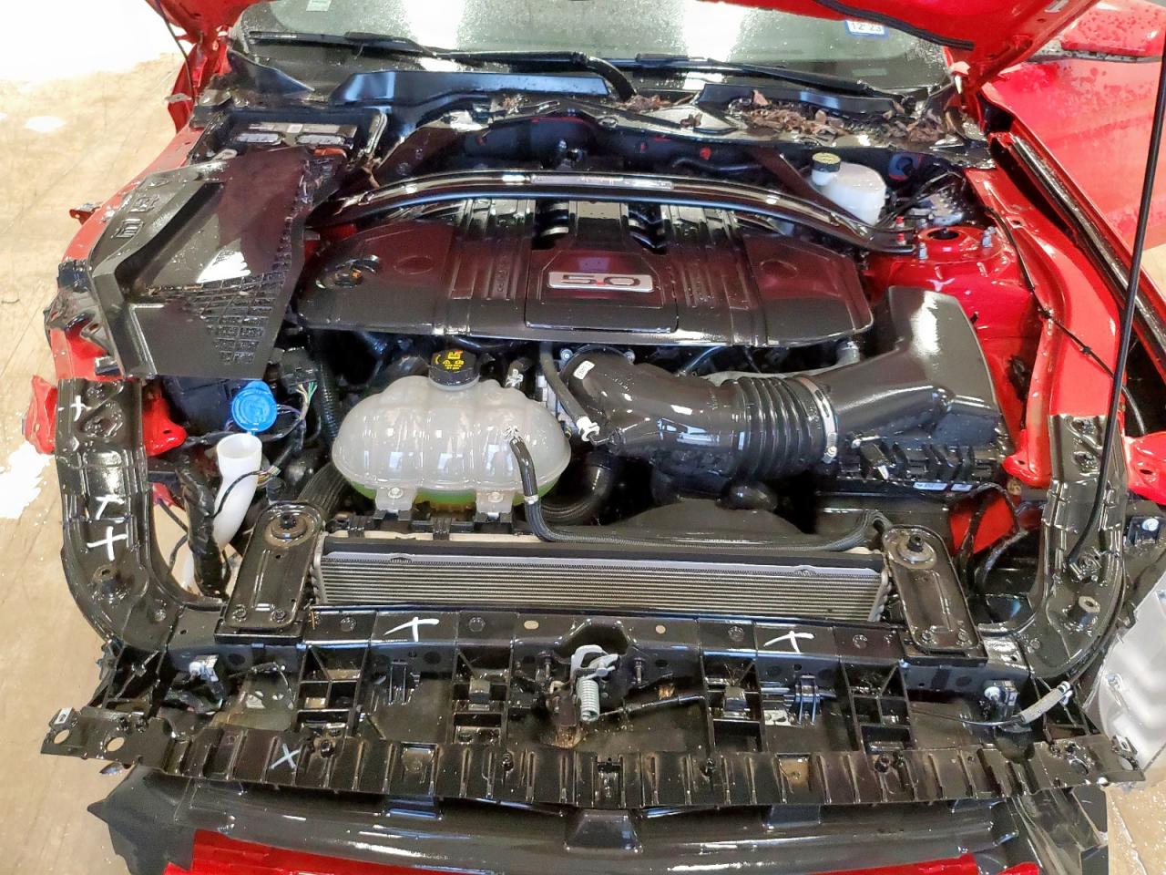 2021 Ford Mustang Gt VIN: 1FA6P8CF2M5133832 Lot: 69800865