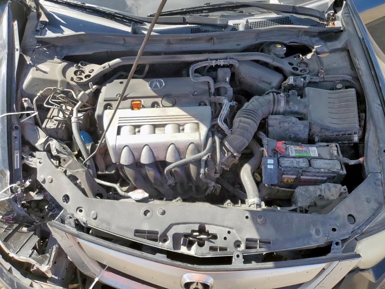 2010 Acura Tsx VIN: JH4CU2F63AC006446 Lot: 69194015