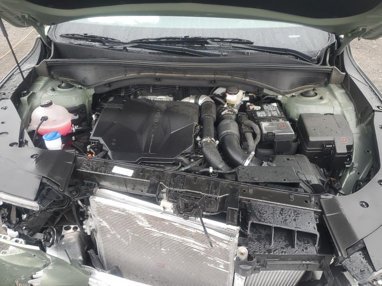 2025 Kia Sorento Sx VIN: 5XYRKDJF1SG335552 Lot: 69506635