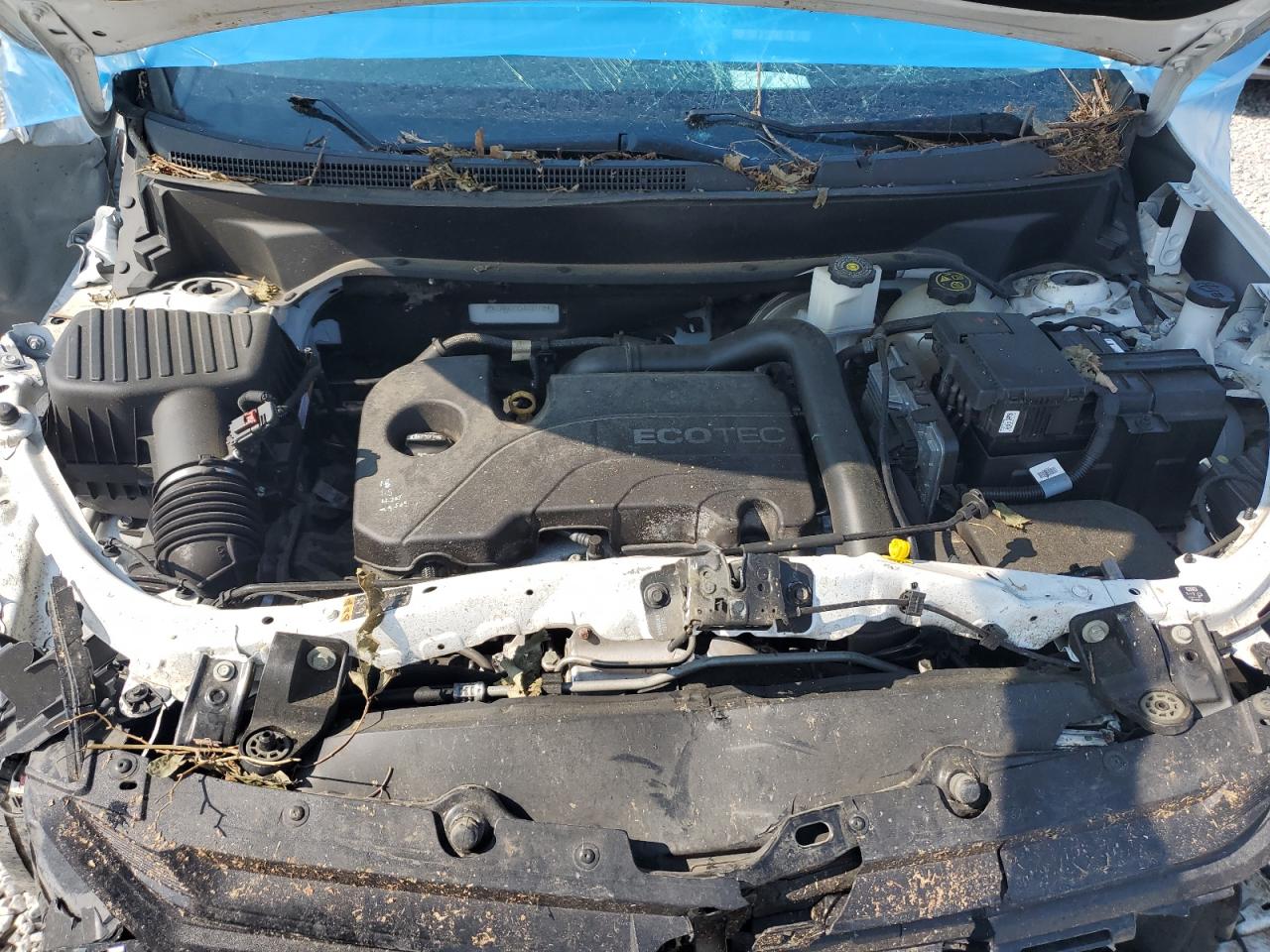 2018 Chevrolet Equinox Lt VIN: 2GNAXJEV3J6201725 Lot: 69563195