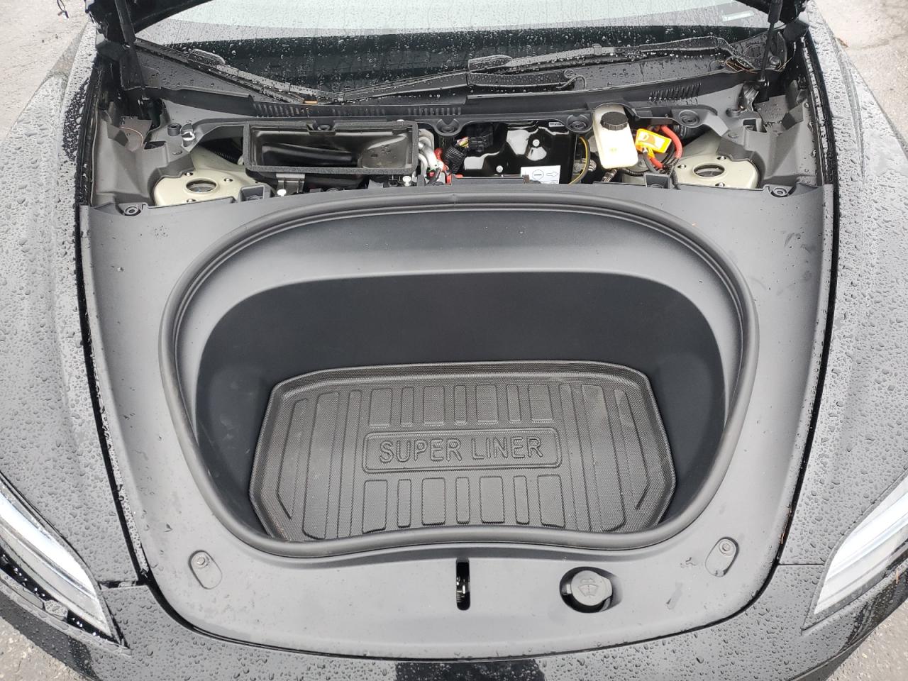 2025 Tesla Model 3 VIN: 5YJ3E1EA0SF031548 Lot: 69654615