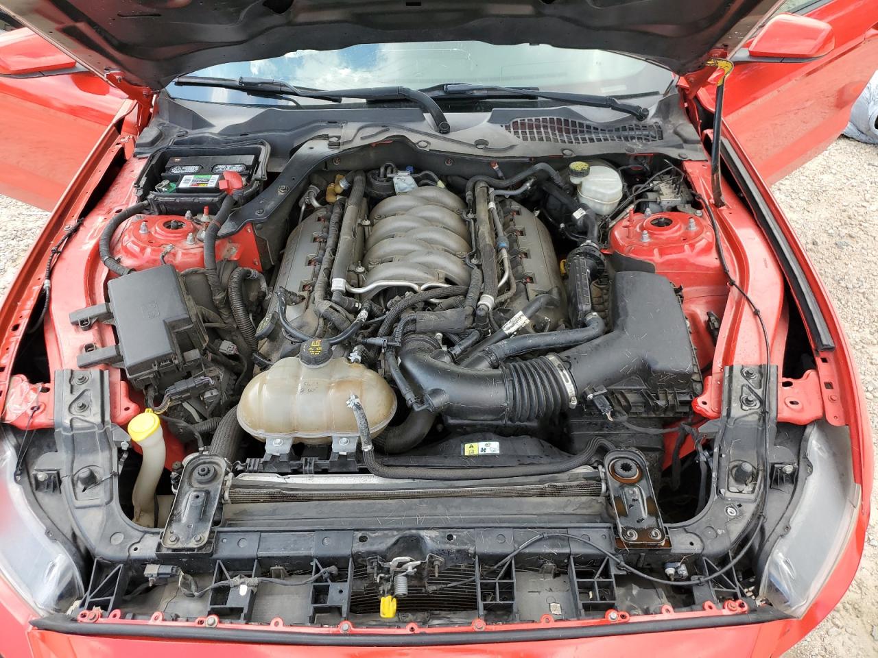 2016 Ford Mustang Gt VIN: 1FA6P8CF8G5206187 Lot: 70808195