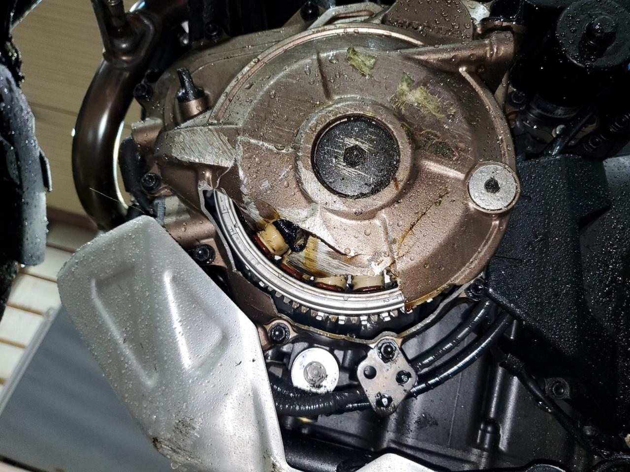 2024 Honda Crf1000 D VIN: JH2SD1552RK000095 Lot: 67112095
