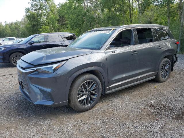 2024 LEXUS TX 350 BASE   for sale at Copart ON - COOKSTOWN