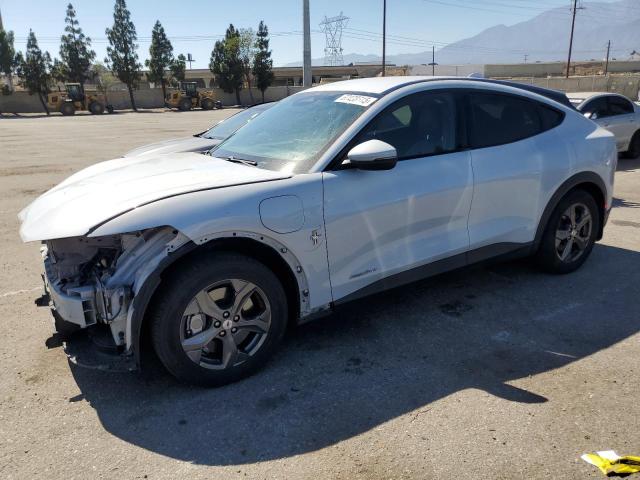  FORD MUSTANG 2021 White