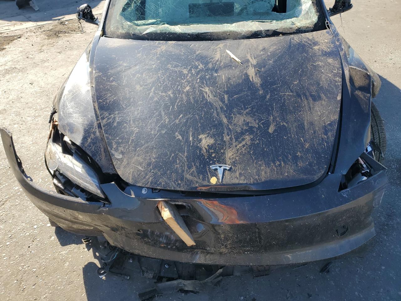 2025 Tesla Model 3 VIN: 5YJ3E1EA9SF051037 Lot: 69627685