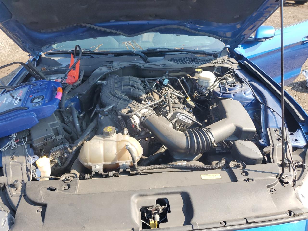 2017 Ford Mustang VIN: 1FA6P8AM6H5275527 Lot: 69347115