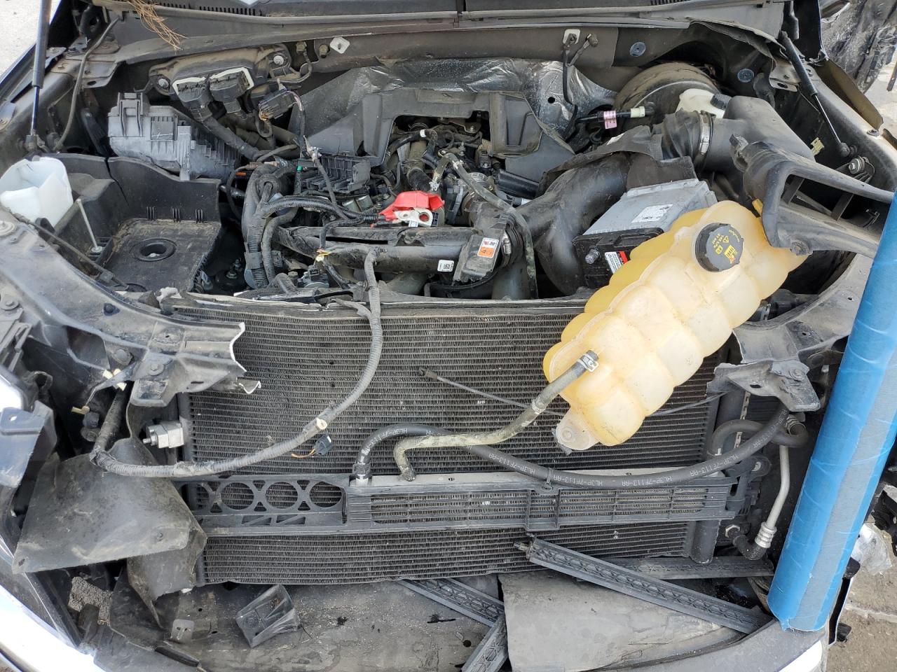 2017 Ford F150 Supercrew VIN: 1FTEW1CP4HFC41748 Lot: 67077355