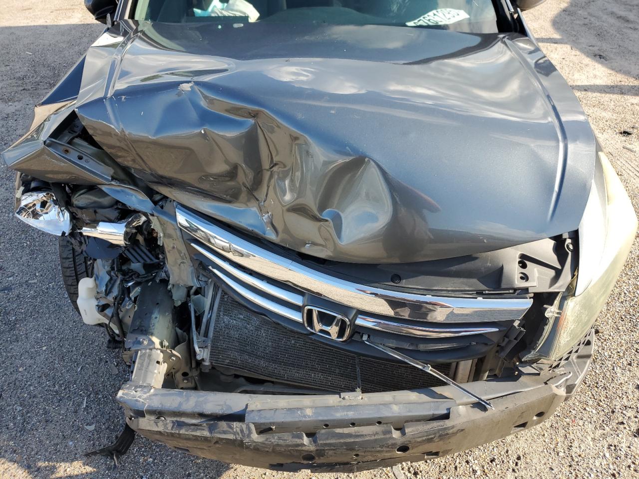 2011 Honda Accord Exl VIN: 1HGCP3F88BA017408 Lot: 67631295