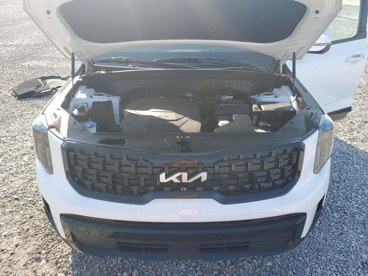 2024 Kia Telluride Ex VIN: 5XYP3DGC7RG558271 Lot: 69225255