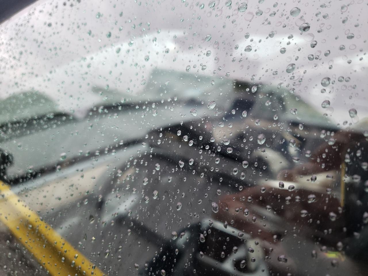 2025 Tesla Model Y VIN: 7SAYGAEE9SF233987 Lot: 69550485