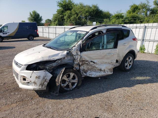 2013 FORD ESCAPE SE   à vendre chez Copart ON - LONDON
