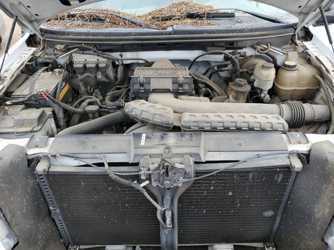 2007 Ford F150 VIN: 1FTVX14557NA48006 Lot: 70542005