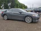 2013 HONDA ACCORD EX   à vendre chez Copart ON - LONDON