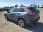 2023 TOYOTA RAV4 XLE   à vendre chez Copart QC - MONTREAL