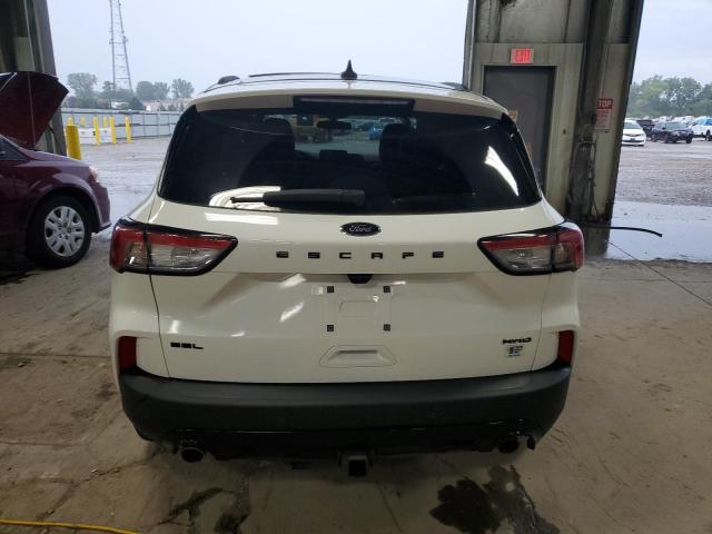  FORD ESCAPE 2022 Белы