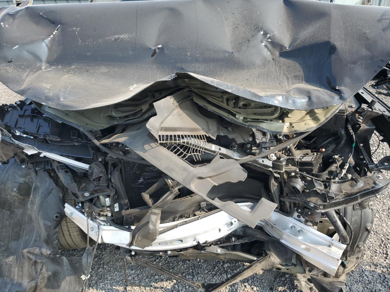 2025 Honda Pilot Black VIN: 5FNYG1H91SB507467 Lot: 66996915