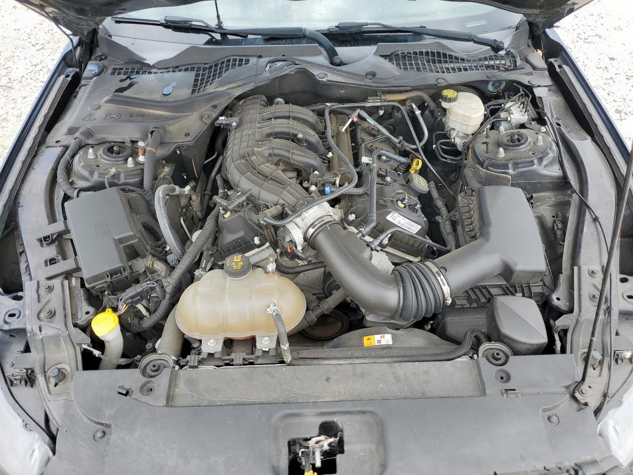 2016 Ford Mustang VIN: 1FA6P8AM4G5220251 Lot: 69275515