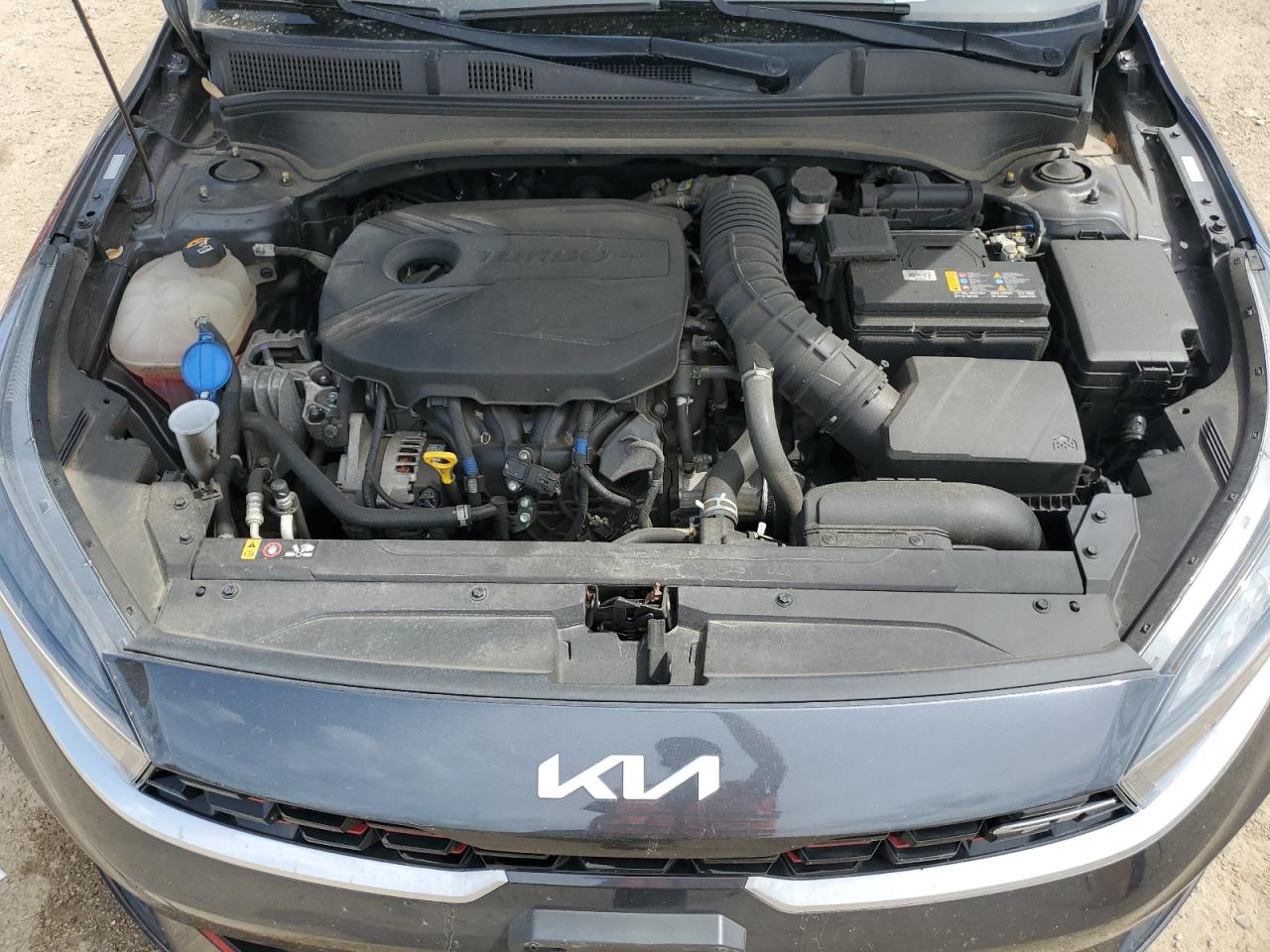 2022 Kia Forte Gt VIN: 3KPF44AC6NE481191 Lot: 69919185