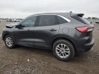 2020 FORD ESCAPE SE   for sale at Copart ON - LONDON