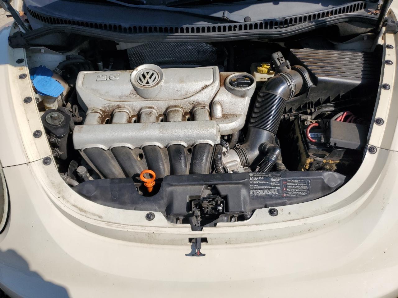 2008 Volkswagen New Beetle S VIN: 3VWPW31C08M508028 Lot: 67211105