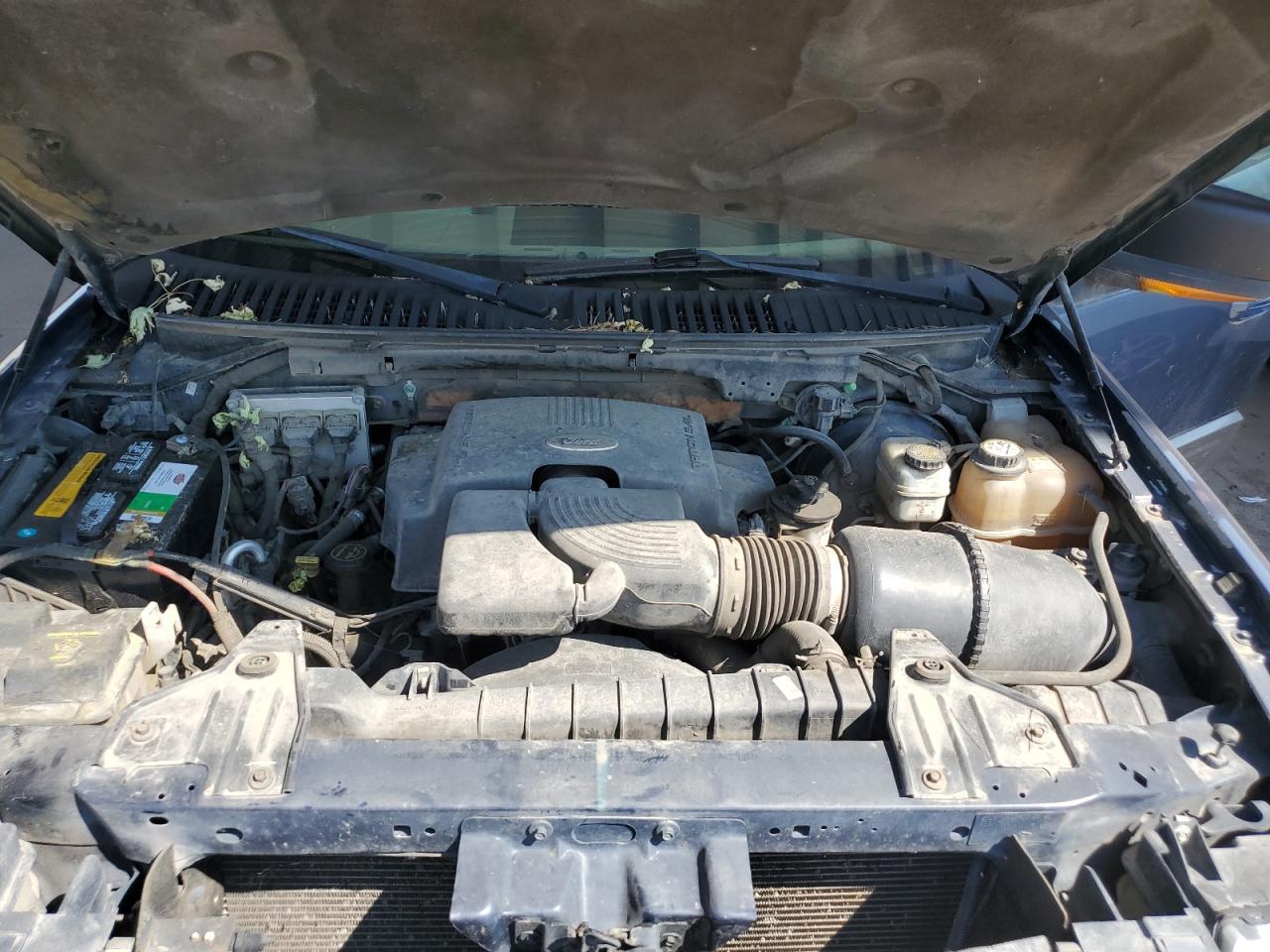 2004 Ford Expedition Eddie Bauer VIN: 1FMFU18L74LA19745 Lot: 69468885