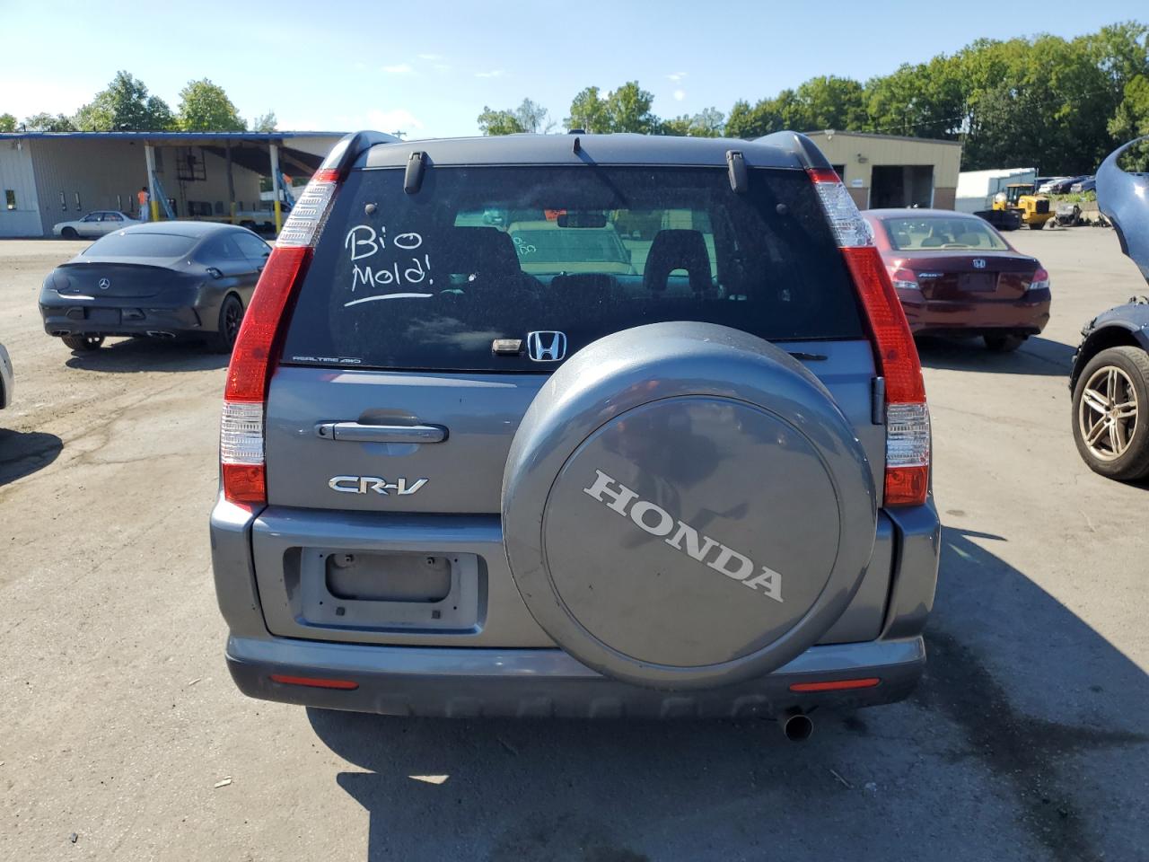 2005 Honda Cr-V Se VIN: SHSRD78985U317694 Lot: 69554555