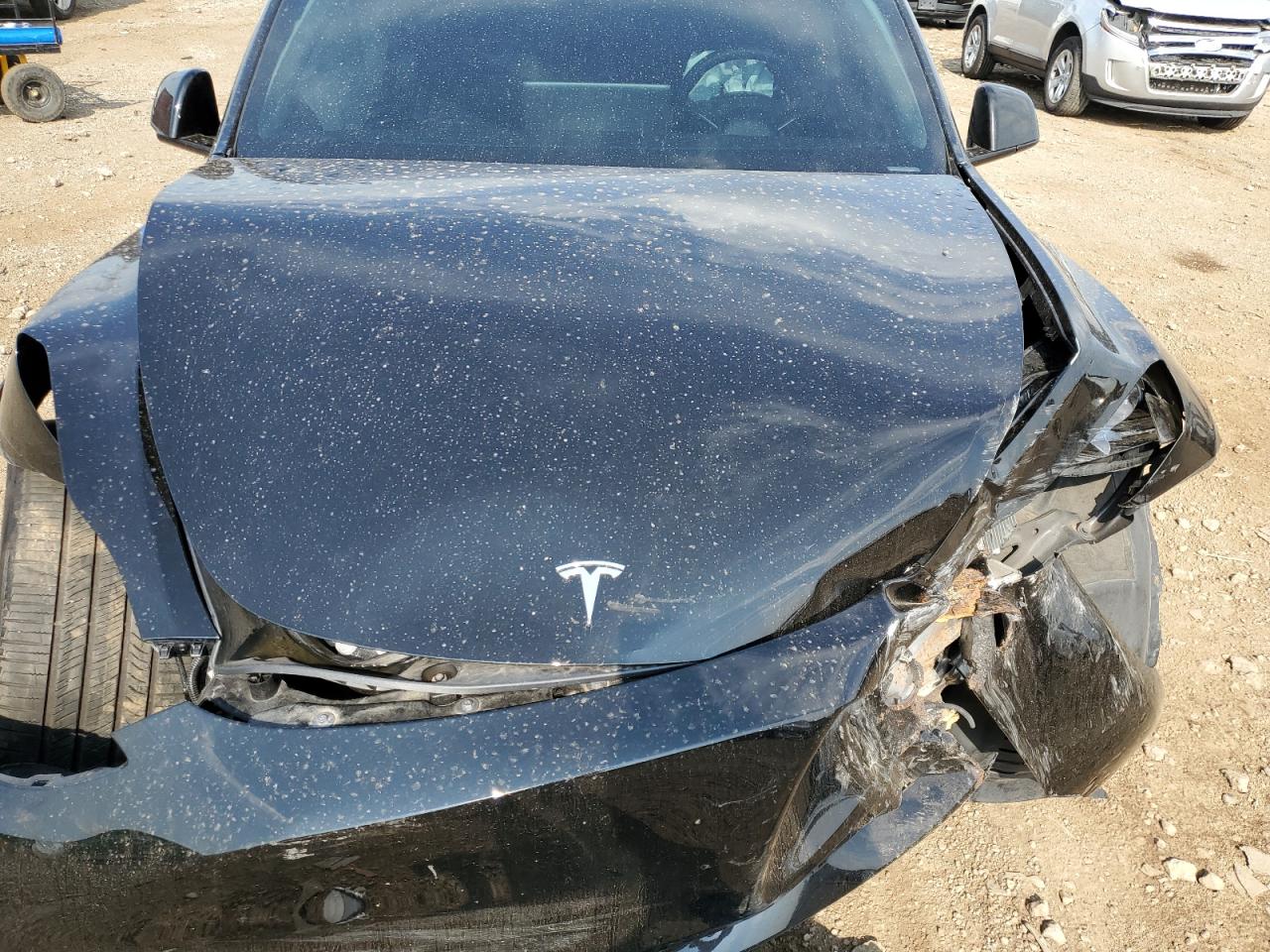 2024 Tesla Model Y VIN: 7SAYGAEE0RF198816 Lot: 69198375