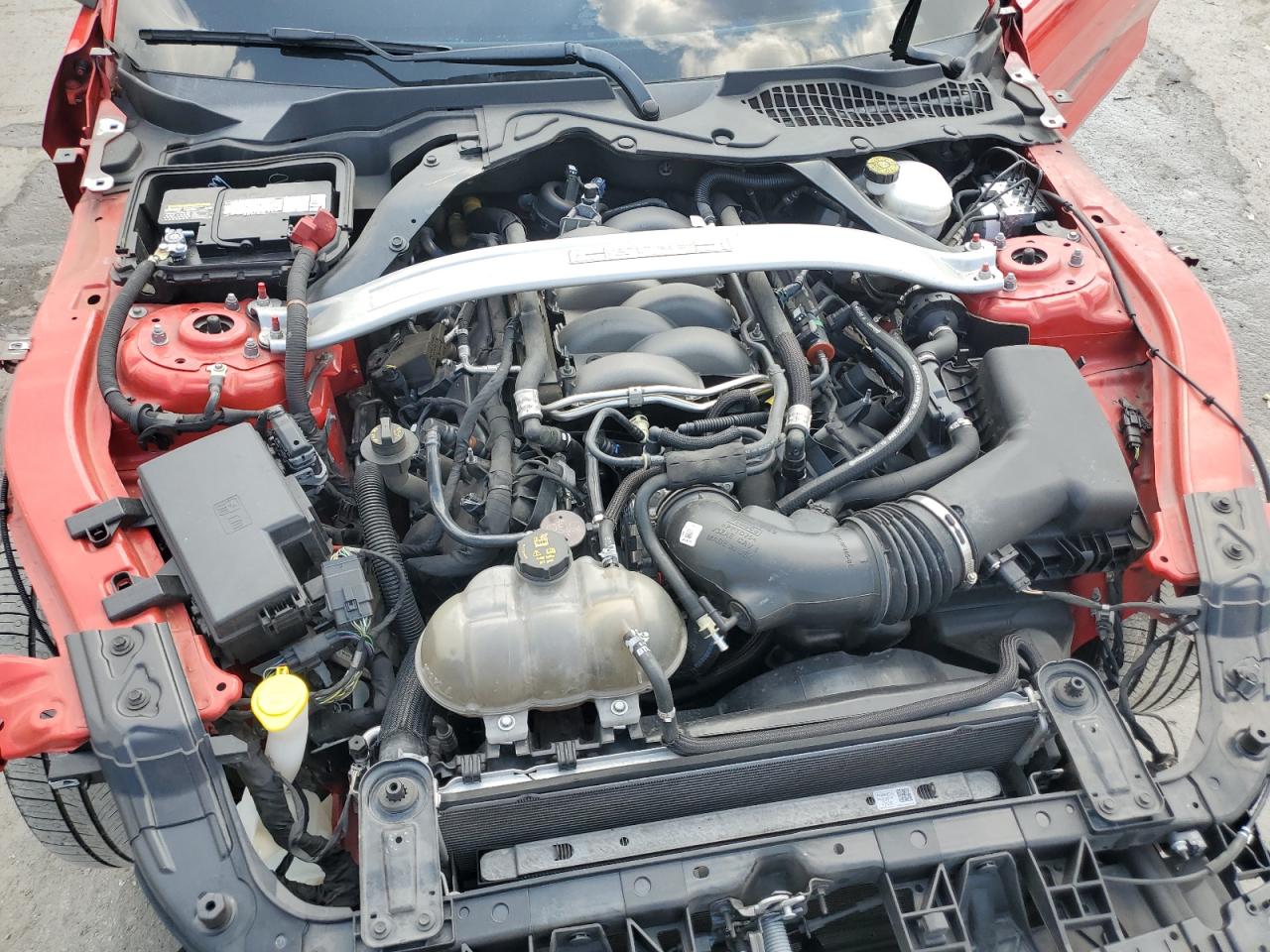 2019 Ford Mustang Gt VIN: 1FA6P8CF3K5177996 Lot: 69009505