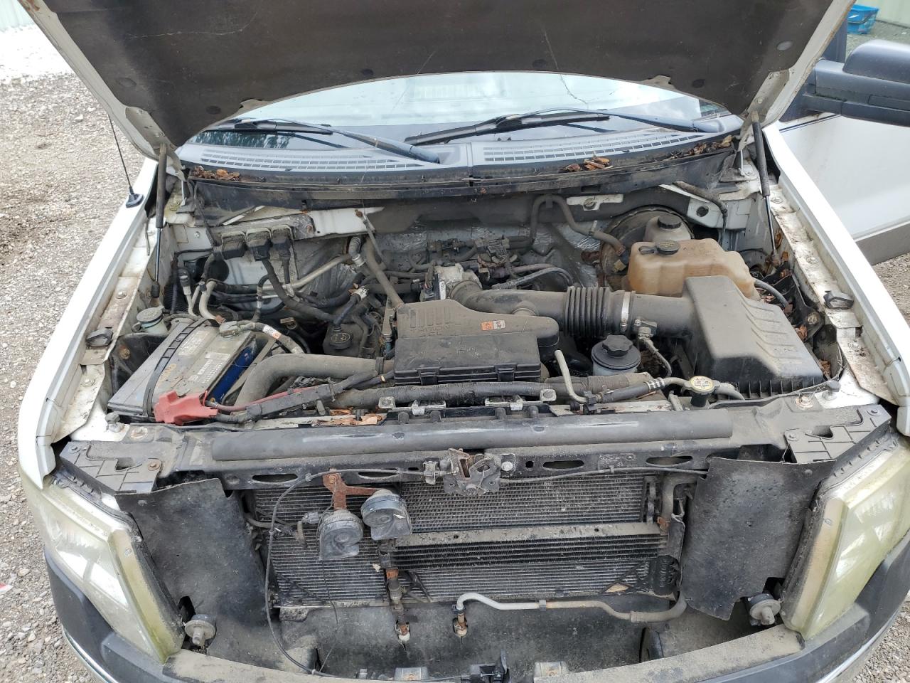 2010 Ford F150 VIN: 1FTMF1CW1AKE35931 Lot: 69565595