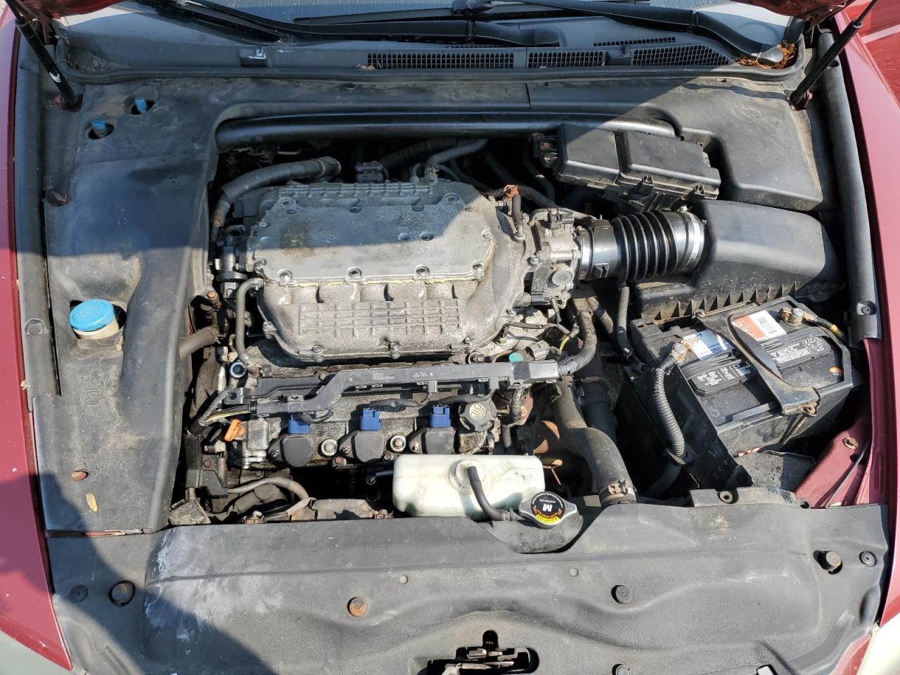 2008 Acura Tl VIN: 19UUA66268A040925 Lot: 67416265