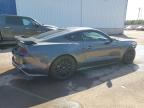 2019 FORD MUSTANG GT   à vendre chez Copart NB - MONCTON