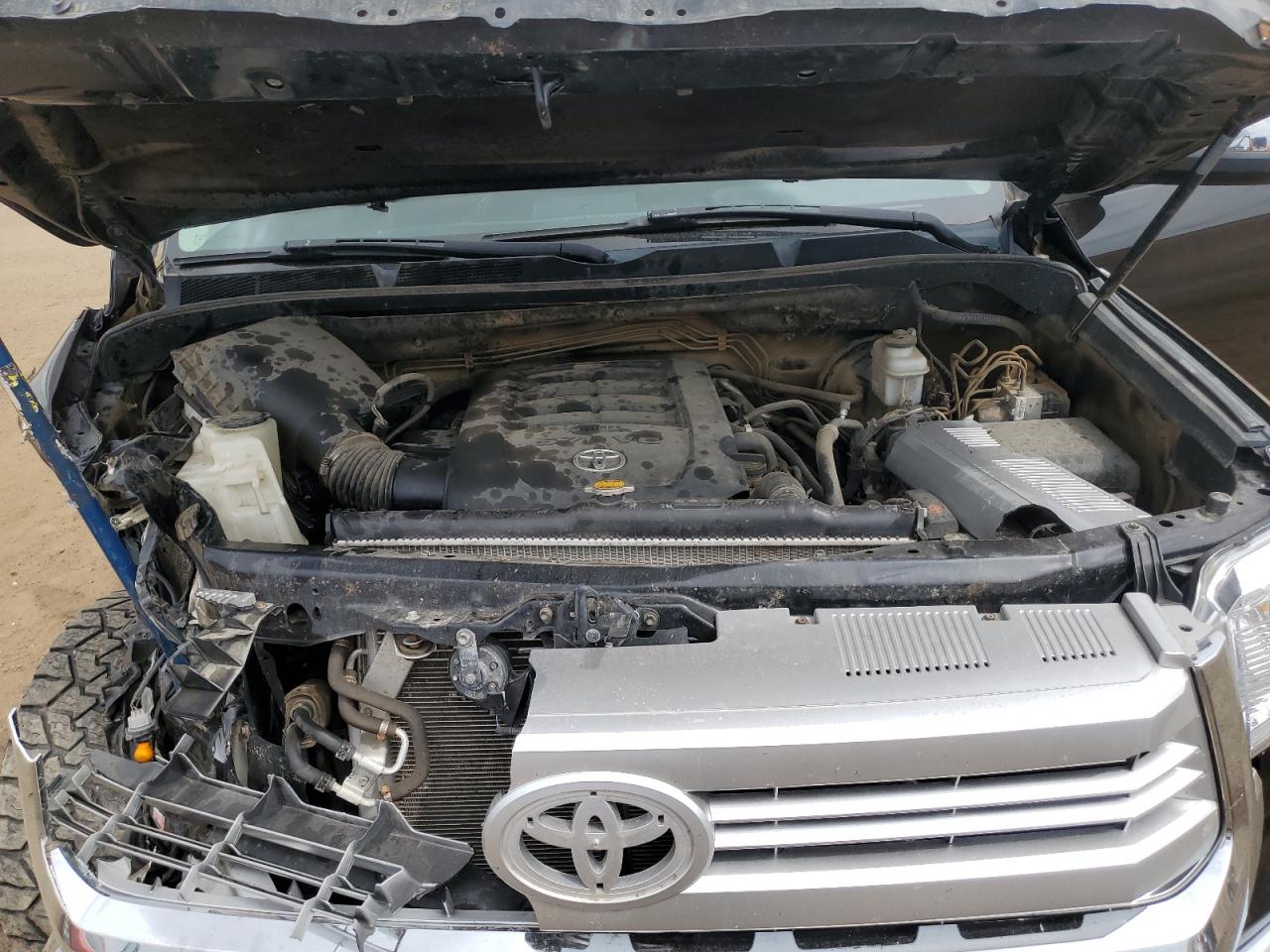 2014 Toyota Tundra Crewmax Platinum VIN: 5TFAY5F19EX366354 Lot: 70425705