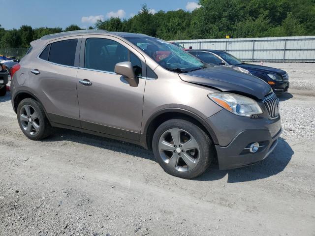 Parquets BUICK ENCORE 2013 Gray