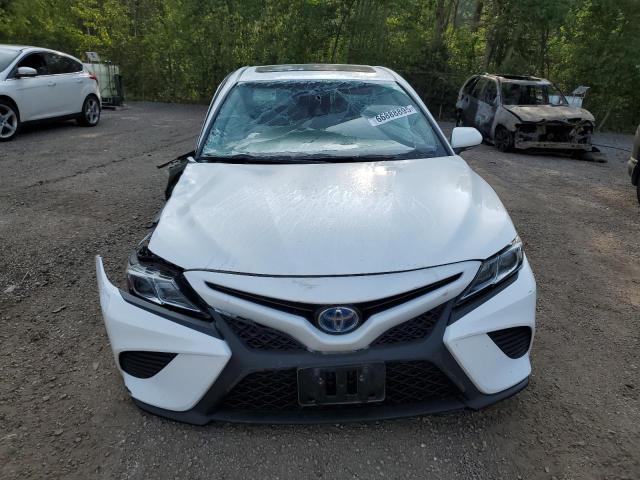 2020 TOYOTA CAMRY XLE  