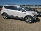 2013 FORD ESCAPE SE   à vendre chez Copart AB - EDMONTON