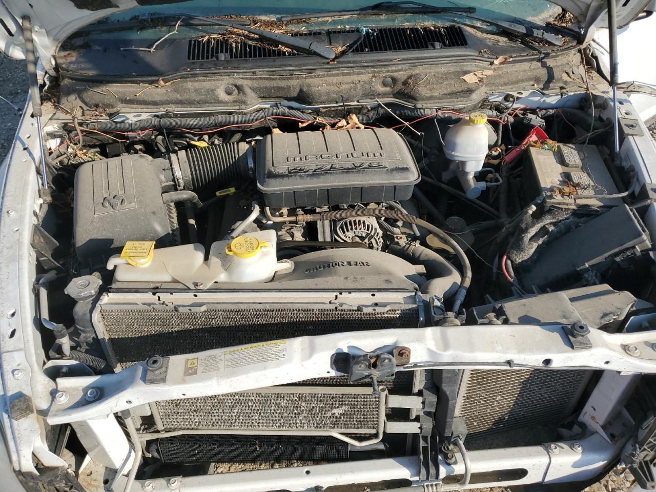 2007 Dodge Ram 1500 St VIN: 1D7HU18P97S176550 Lot: 69081215